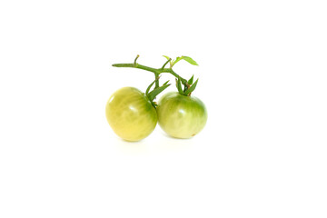 Tomatoes on a white background