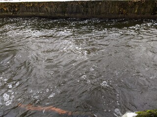 river flow in the forest in early spring