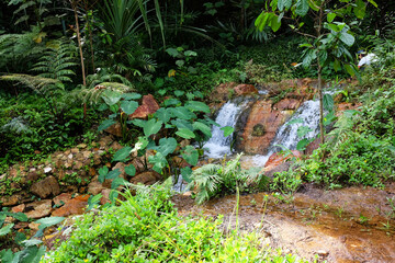 Beautiful small Waterfall on the mountain and stream flowing on the rock of tropical rainforest in national park at Thailand