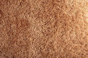 The texture of the carpet on the floor