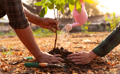 .Volunteers plant trees while watering the plants in the garden. To reduce global warming problems Which is the concept of saving the earth, nature, environment and ecology © crizzystudio