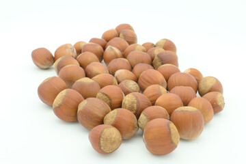 Hazelnuts in a shell on a white background