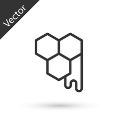 Fototapeta premium Grey line Honeycomb icon isolated on white background. Honey cells symbol. Sweet natural food. Vector