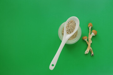 Microdosing concept. Dry psilocybin mushrooms on green background. Natural organic supplement. Medical usage. Psychedelic magic trip.
