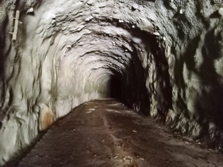 The road tunnel in the forest
