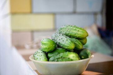Ripe small cucumbers in a plate