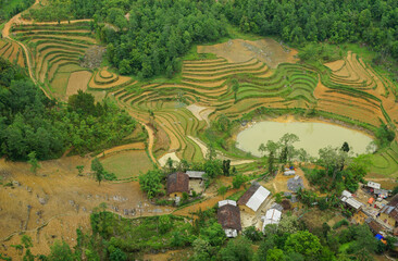 Fototapeta na wymiar Birds eye view of a rice farm in North Vietnam
