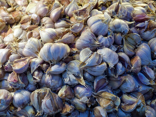 마늘이 쌓여 있는 모습