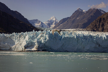 Glacier bay in Alaska. Glacier