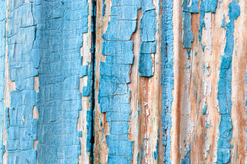 wooden planks with peeling paint. background, blue craquelure
