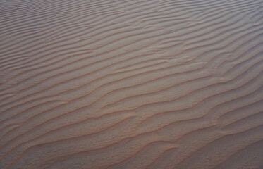 Ripples in the sand 