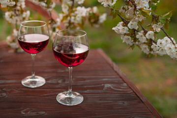 Wine Tasting Party in spring in the garden