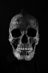 skull on black
