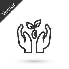 Obraz premium Grey line Plant in hand of environmental protection icon isolated on white background. Seed and seedling. Planting sapling. Ecology concept. Vector