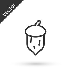 Grey line Acorn, oak nut, seed icon isolated on white background. Vector