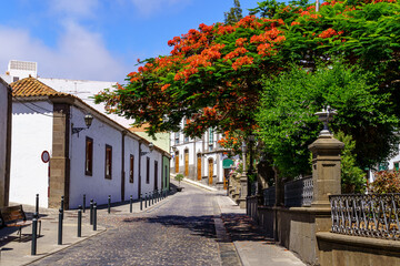 Fototapeta na wymiar Typical streets of a small Canarian town with white houses and bright colors. Arucas Gran Canaria.
