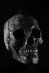 Obraz premium skull on black