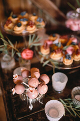 Pastel shades dessert table with cookies, cupcakes, cake. Wedding sweet table decorated with flowers and plants 