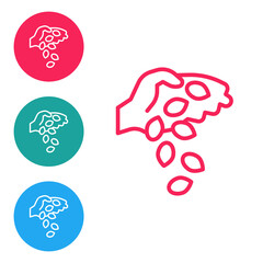 Red line Seeds of a specific plant icon isolated on white background. Set icons in circle buttons. Vector