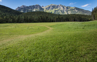 Fototapeta na wymiar paysage de montagne dans les dolomites près d'Andalo en Italie Trente, en été
