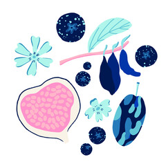 isolated vector set on white background from blueberries and fruits with figs and honeysuckle branch.