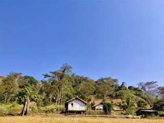 house on the hill