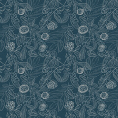 Walnuts hand-drawn illustration. Natural product vegetarianism. Sketch print textile vintage plants harvest patern seamless