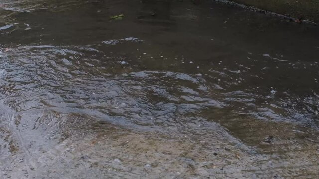 Run through puddle in yellow rubber boots and enjoy wet spring weather like little child. Video of legs without persons face. Enjoy and walk in rain.