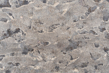 Brown dirt footpath backdrop. Natural mud texture pattern as abstract background.