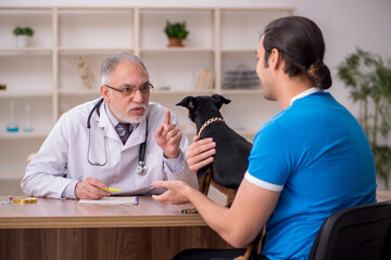 Fototapeta premium Old male vet doctor examining dog in the clinic