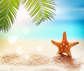 Fototapeta na wymiar Starfish and palm on the sandy beach. Summer time.