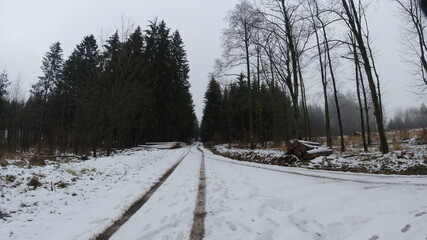 Obraz premium Winter-Wald