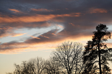 A beautiful evening in the winter forest. The snow is melting and it is spring.  Shot at Bogstad, Oslo, Norway. 