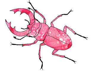 Stag beetle. Stag beetle with large antlers. Pink big beetle with a bright, decorated body. A beautiful insect with wings. A forest, flying, rare insect.