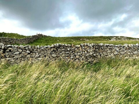 Long grasses, with a dry stone wall, and moorland, with heavy clouds in the Yorkshire Dales near, Skipton, Yorkshire, UK