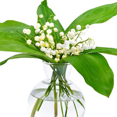 Lily of the Valley Bouquet in Vase isolated on white background.