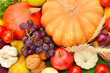 background from the collection of fruits and vegetables.