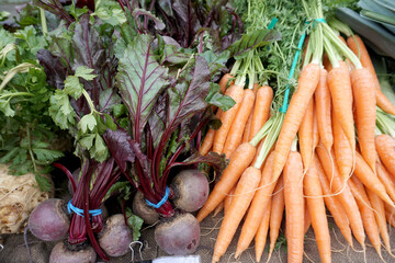 Pile of fresh raw various vegetables, Carrots, beetroot selling in farmer market