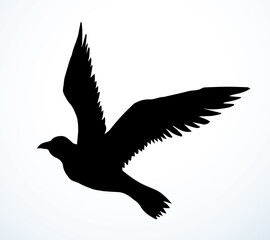 Bird in flight. Vector drawing