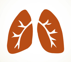 Body organ. Lungs. Vector drawing