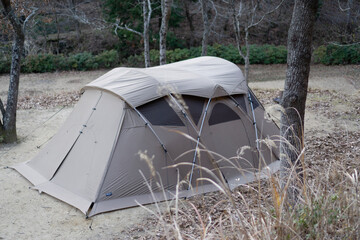 tent in the forest © Shota Sato