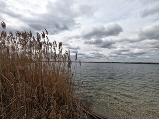 Spaziergang am Werberliner See