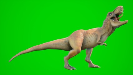 Angry T-Rex dinosaur runs in a looping seamless animation. Reptile in front of green screen. 3D Rendering. © designprojects