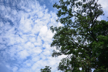 I took this image in my village situated in uttarakhand