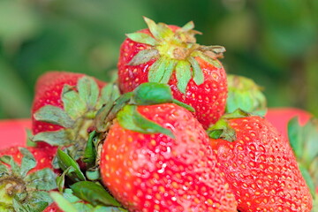Fresh Strawberries With Background Closeup