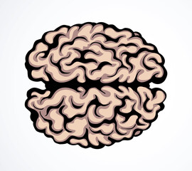 Brain. Vector drawing icon sign