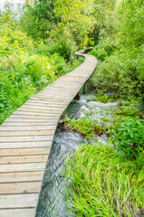 View at Trail in Park with Small Bridge and Creek in Vancouver, Canada.