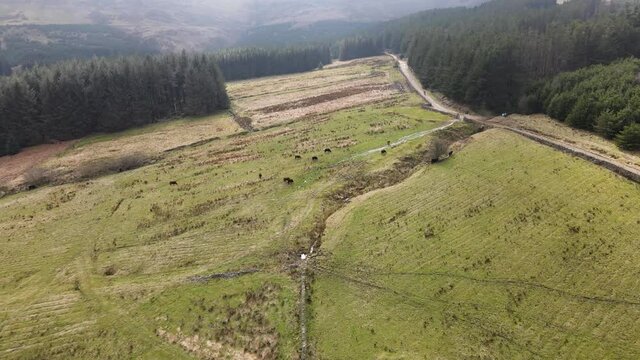 Aerial Drone View Forest Hike In Peak District West Yorkshire Holmfirth Yateholme With Walking trail and Misty Hills In Background