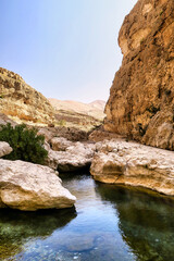 Fototapeta na wymiar River in between the sandstone rocks of a canyon in Oman
