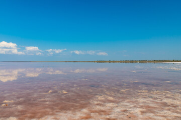 Salt lake with pink salt and the blue sky with clouds. Sasyk-Sivash pink salt lake in Crimea. Summer landscape